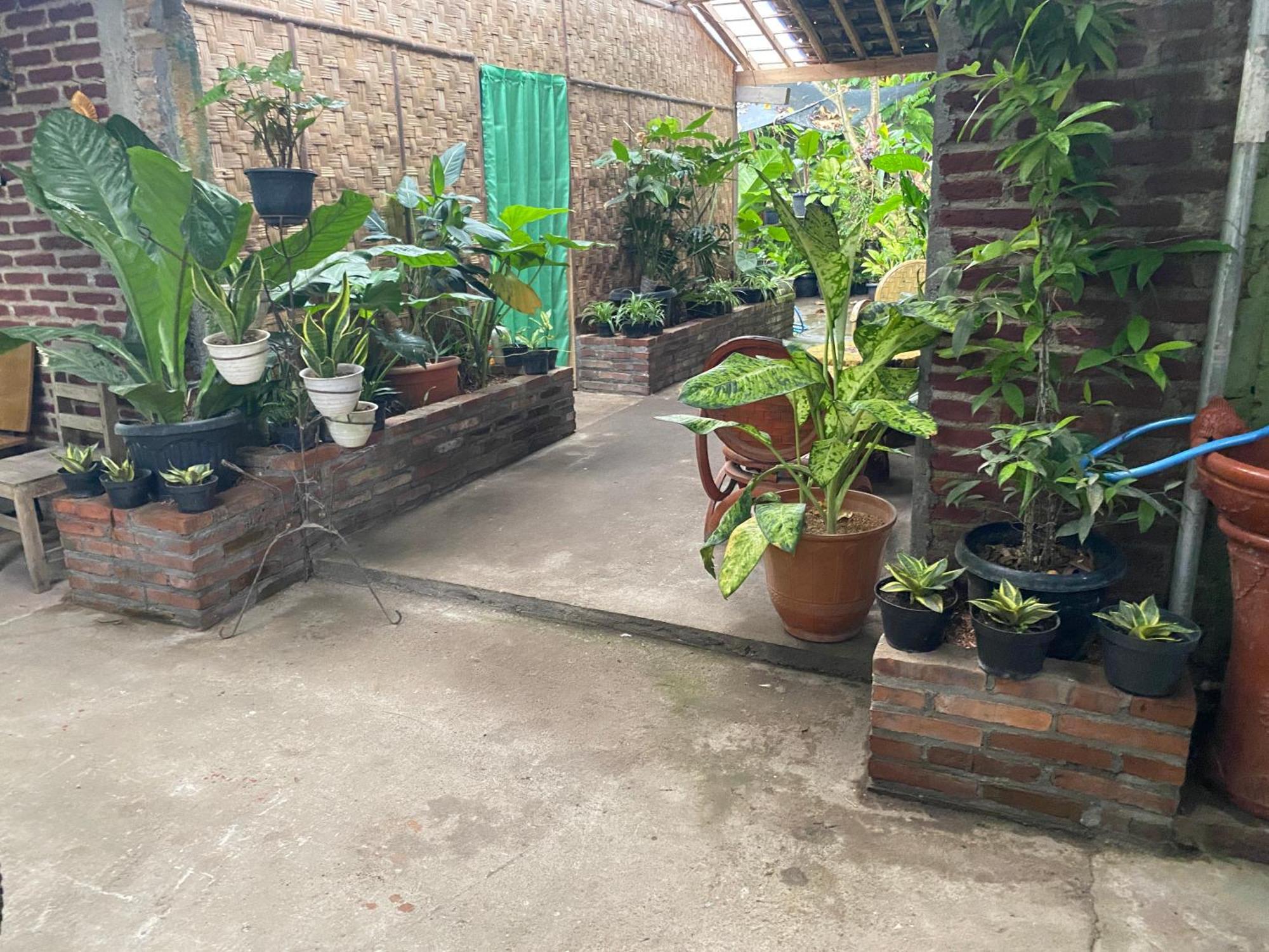 Ada Homestay Magelang Exterior foto