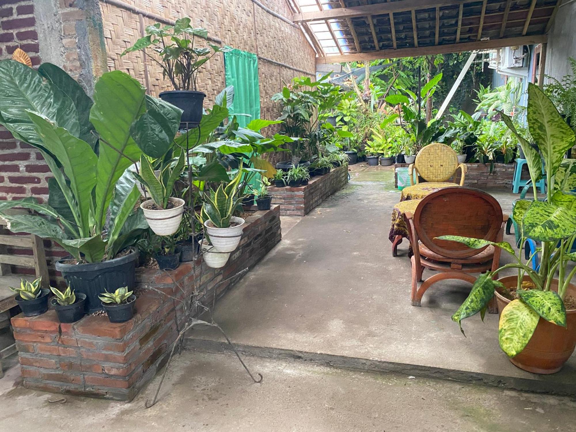 Ada Homestay Magelang Exterior foto