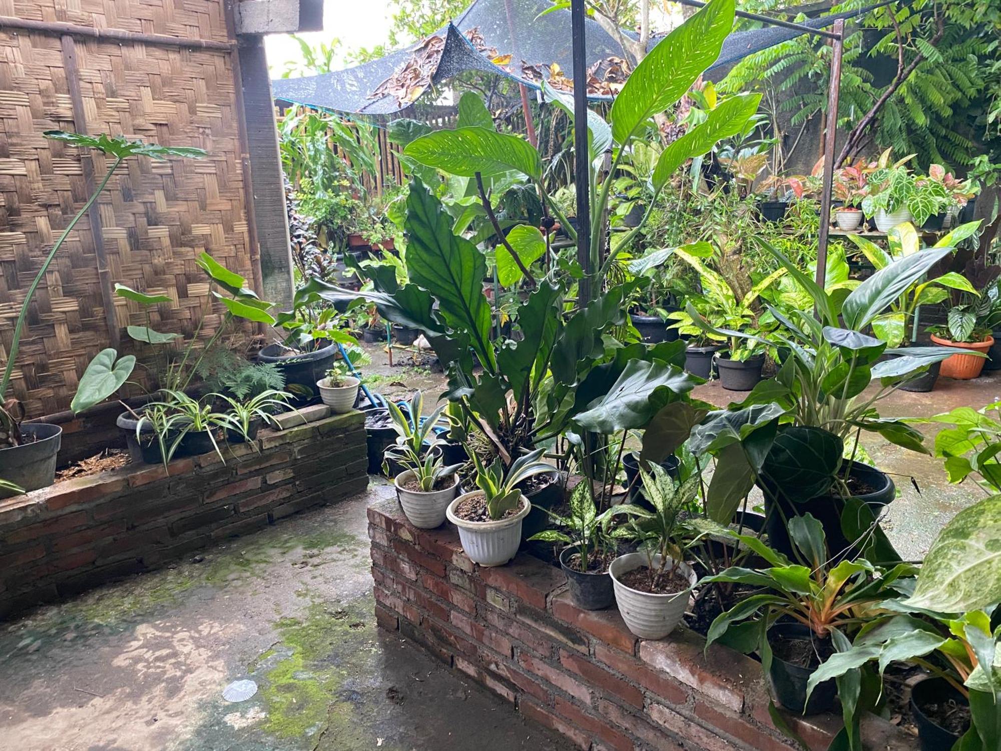 Ada Homestay Magelang Exterior foto